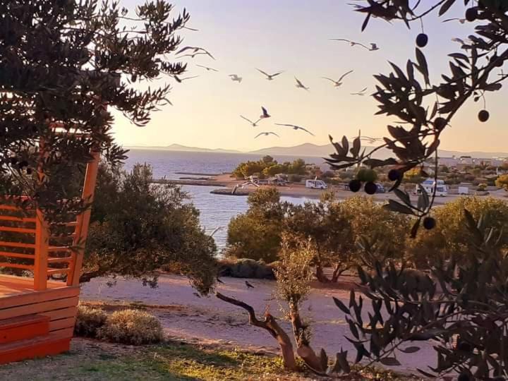 Eden Lady Mobile Home, Croatia, 德拉格 外观 照片