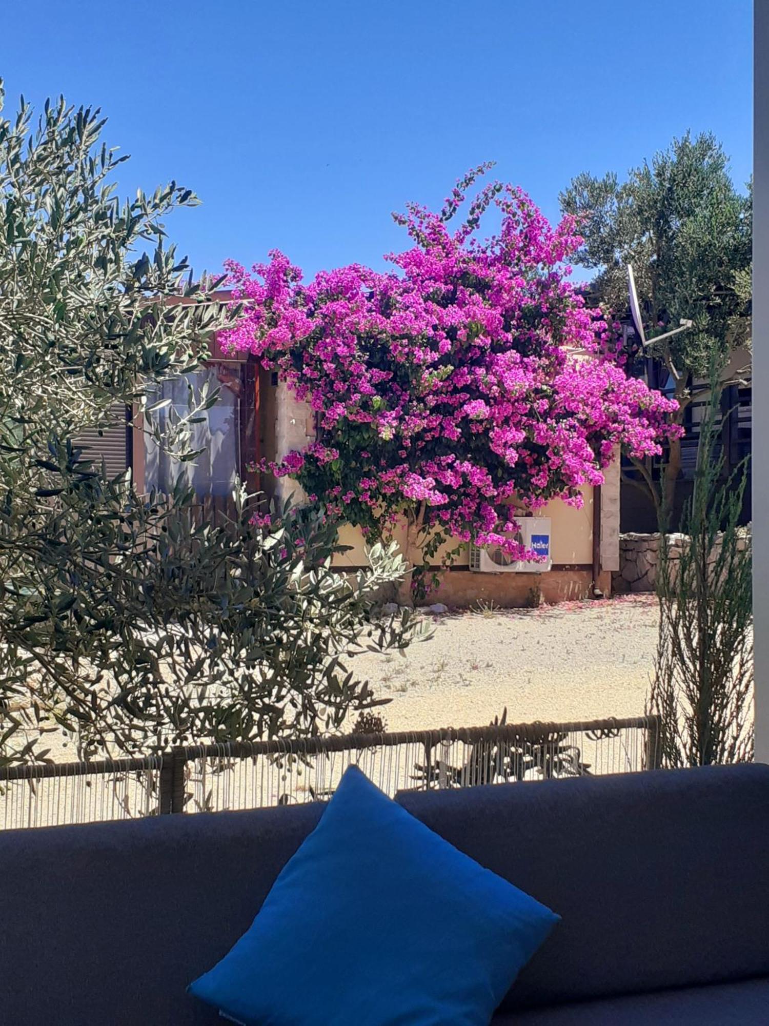 Eden Lady Mobile Home, Croatia, 德拉格 外观 照片